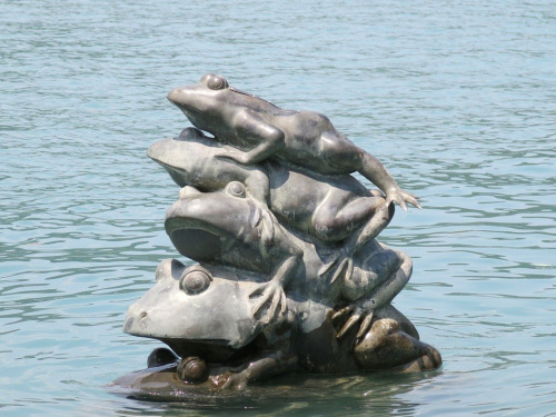 �����ܡ�������̶ˮλ�ĸ߶�Ӌ��2��6��¶����4ֻ�롱���@ʾ��Ч��ˮ��߀���ھųɡ��_�����ψ�ӛ�ߺ��������zӰ