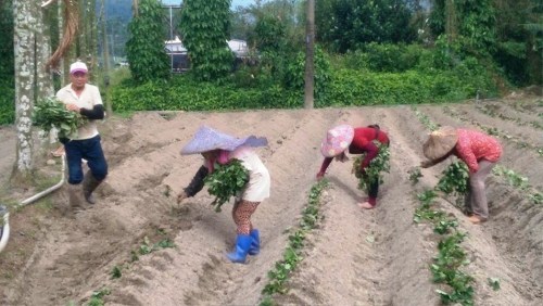 �r��@�������꣬Ӱ���ɽ�عϴ���ʣ�������ֻ���aֲ���_�����ψ�ӛ�ߺ��������zӰ