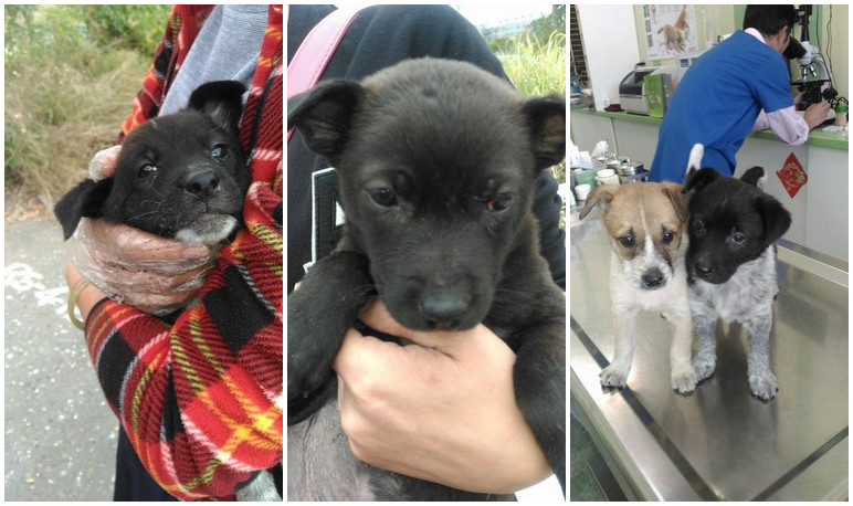 ���۬F׃�BŰ������Ȯ���������л�����