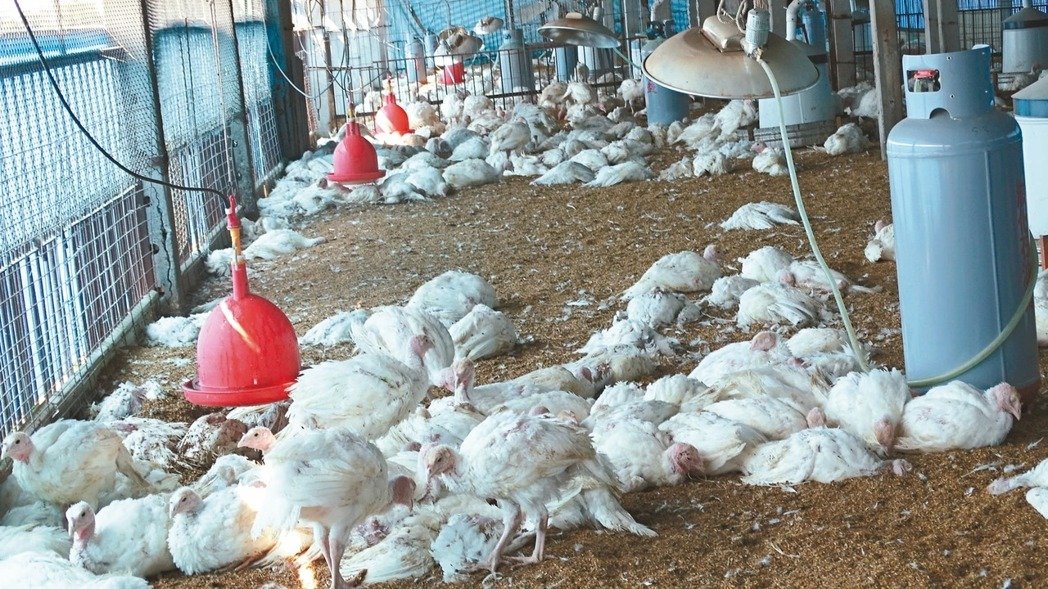 �_(t��i)������������U(ku��)�� ��ɏ��ֻ���_(t��i)�ϻ��u���S�ݡ�