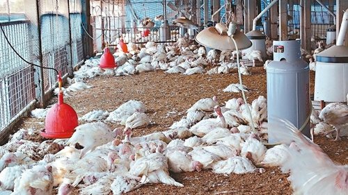 �_�������׻��u�������������и���ɓ䚢���_�����ψ�ӛ���x�Mʢ���zӰ