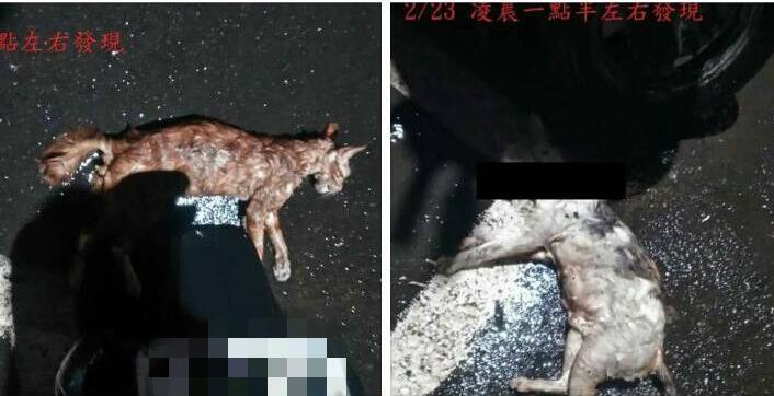 �_����¡�F׃�B��؈�ֿ���Ұ؈���������ƺ퇵