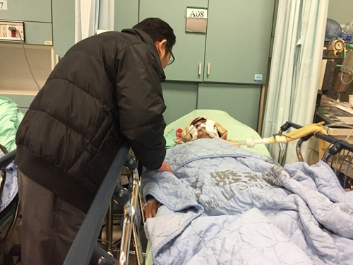 ��̶�����L�����Ĵ���܂���66�q�s���~������܂���Ŀǰ���R�����ӛ���S���ܣ����z