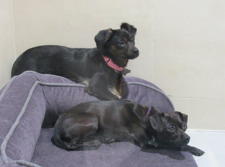 �_���؅^����Ҏ�����`��Ҏ��ʳ��؈��������P25�f