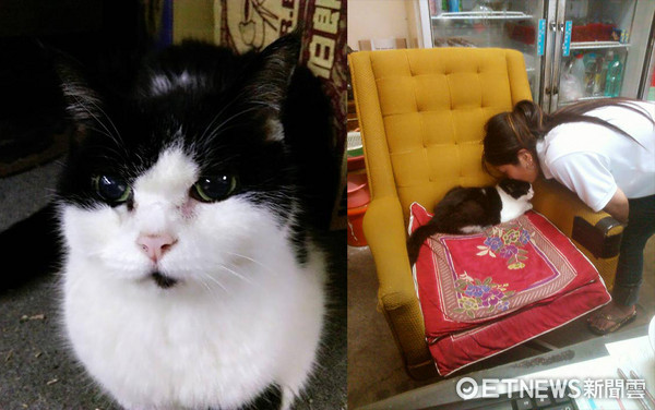 "����"�x�� ����������:���o���Ҷ�ʮ�겻��