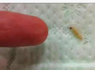 ֪��Ʒ���l�����л��x��4�w��� �W�ч�����