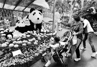 2014�_���оջ�չ�_չ �ջ�ƴ�ɡ��A�A���͡��A�С�