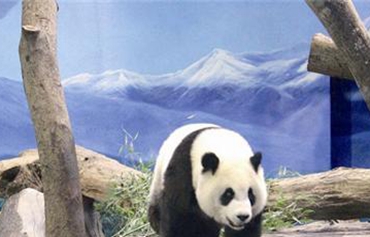 ��(d��)�������һ�� �_������؈�����A�кܵ���