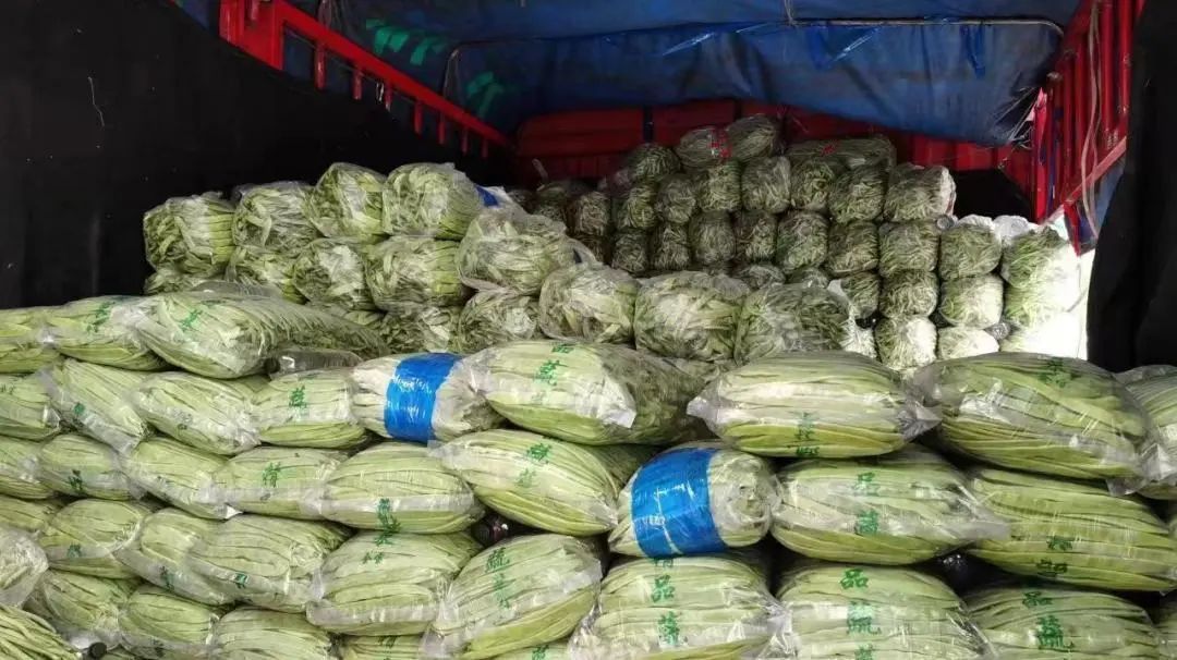 �����f�R�r���У��°l(f��)���������������׶����˻@�ӡ�����(y��ng)����