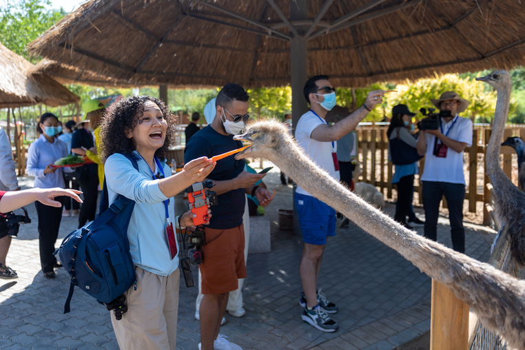 ���Ї��мs��ˮɳһɫɳ���� ���B������˼�w