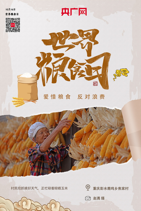 ������(b��o)�����Z���������S��æ һ��һ�(l��i)֮����