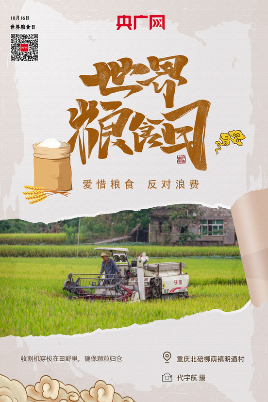 ������(b��o)�����Z���������S��æ һ��һ�(l��i)֮����