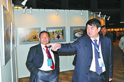 ���R��ӛ�����A�����{����