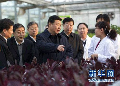 2013��11��27�����磬����ƽ��ɽ�|ʡ�r�I�ƌWԺ���ܻ������˽��r�I�Ƽ�������r�� ���A��ӛ���x�h�Y �z