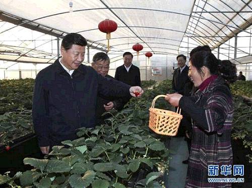 2014��12��13�����磬����ƽ��悽��е�ͽ�^���I����h���r�I�@��ݮ������ز쿴��ݮ���L��r�����A��ӛ�� �m�t�� �z