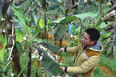 ��Ҋ�����²��ֵ؅^�ܞ� �߲ˇ�����Һ�Ա�����