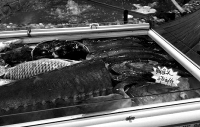      2��16�գ��~�չʾ����������һ���Sɫ�����r�����ڹP�֌����m�~�^498Ԫ/���