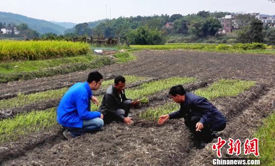 ���벿ί�نT�����l(xi��ng)�����h֧����һ��(sh��)ӛ���M�Ϸ�ؚ��(j��ng)