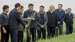 ��(x��)��ƽ����С���壬�؜��Ї��ĸ�v��