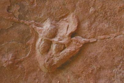 ���������Ŀ������E��