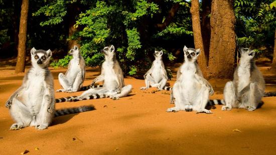 ���ϳ���3400�f��ǰ��ʯ ���`�L��M���P�I�A��