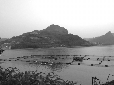 �V�����h��ǧ�f��^�����������Ƿ�Ų��