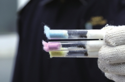 ��Λρ�Ɍ��� ���ɞ�ιܲ�ס���w���͵�ɡ�