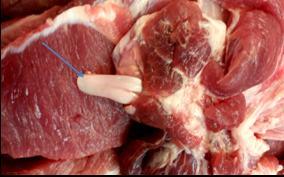 �D1.�i���еġ���ɫ�����(���JƼ)