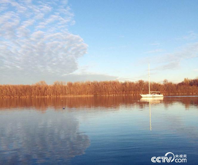 �����_�ߺ�