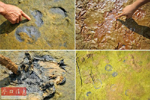 ��ý:�Ї�������Ⱦ���� �ӱ����ִ��f�ֲ��l�l(f��)