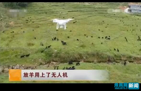 ʹ�ßo�˙C�������Y�ψD��