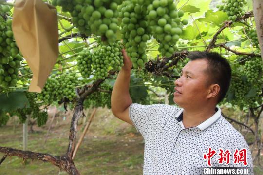 �F�ݣ����ڡ��L�塱�a���r���̰塱�����ؚ��ˮ