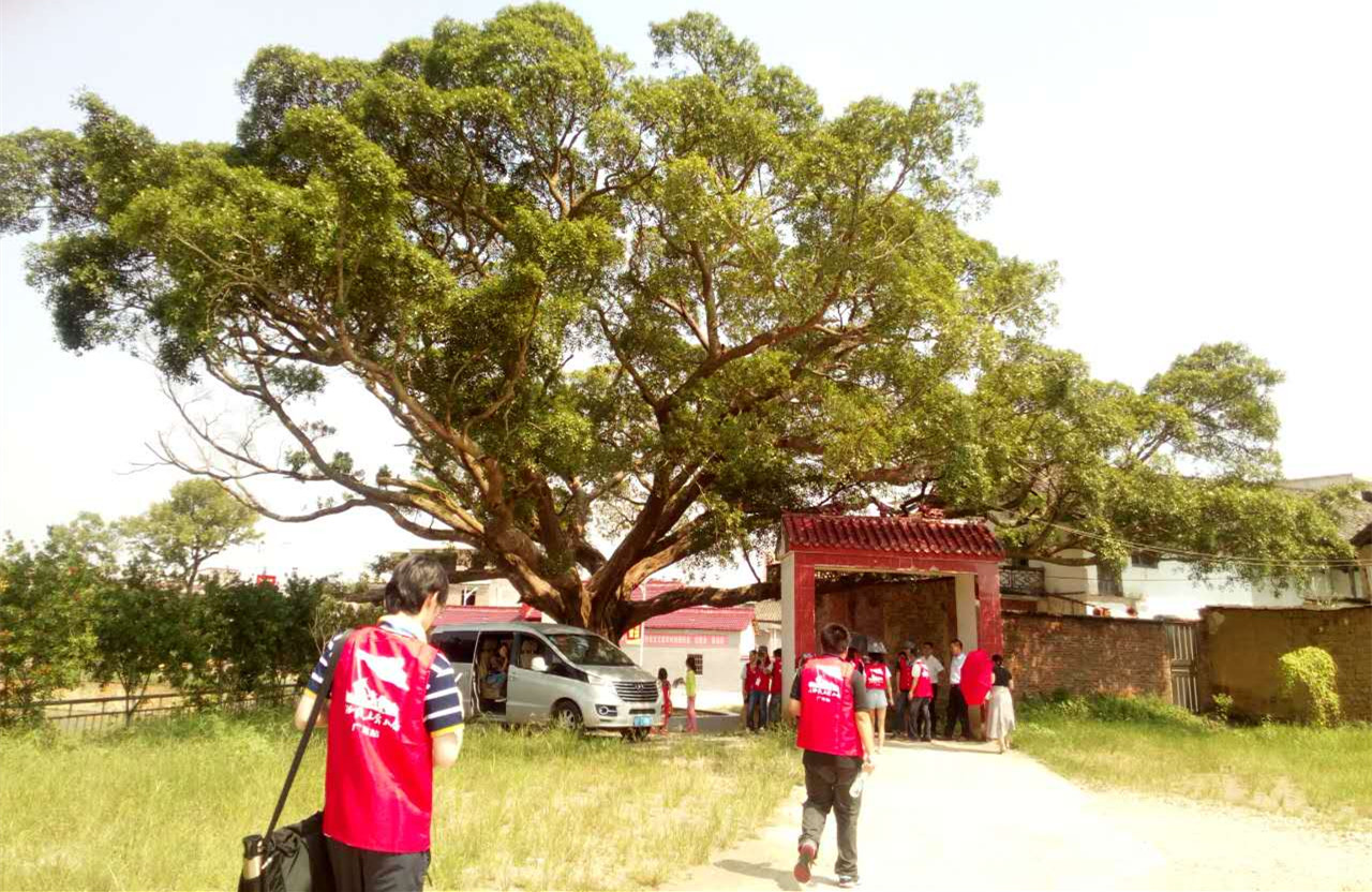 ���W�jý�w���D�ġ����Ř����o�µ�������Դ������ޟ����Ĵ�