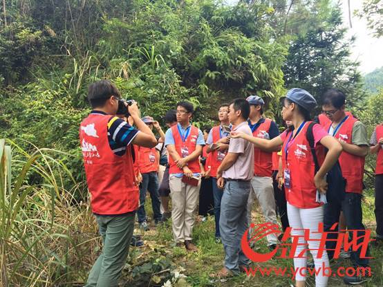 ����B��Ŀǰ��������80%�Ĵ�����N���˻ʵ۸̣�ȫ�����нӽ�2000���ʵ۸̡�