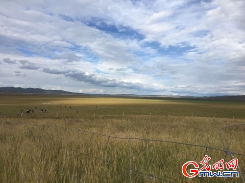 ���W(w��ng)�jý�w���D(zhu��n)�ġ������L���D�U�� �_���صء��Ҹ�����