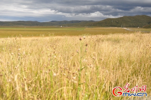 ���W(w��ng)�jý�w���D(zhu��n)�ġ������L���D�U�� �_���صء��Ҹ�����