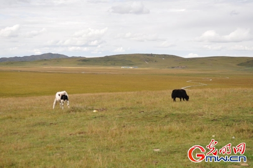 ���W(w��ng)�jý�w���D(zhu��n)�ġ������L���D�U�� �_���صء��Ҹ�����