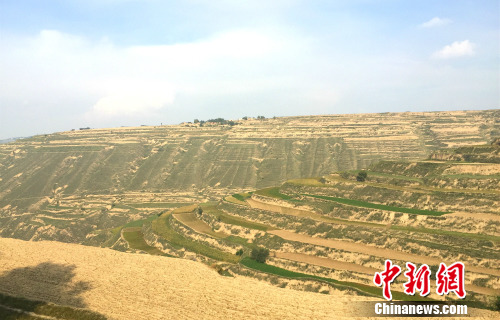 ��·���Ե����������¾W �N�� �z