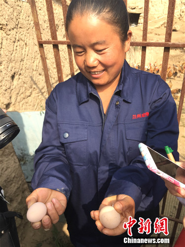 �߿�ϼչʾ�u�������¾W �N�� �z