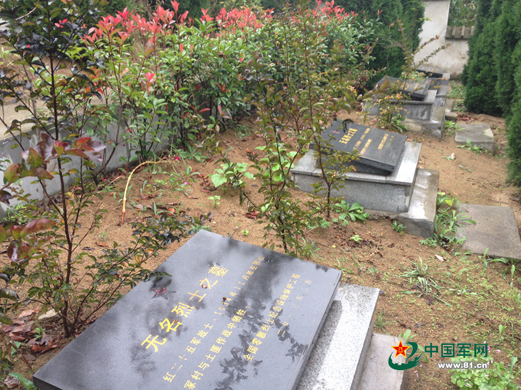 ���W(w��ng)�j(lu��)ý�w���D(zhu��n)�ġ��������ˣ�׌�t25܊��ʿ���ؼҡ���