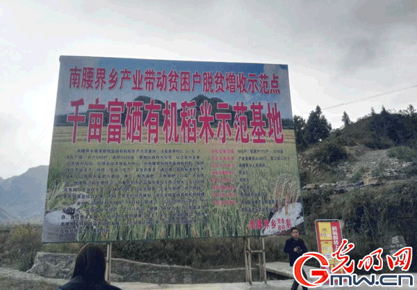 ���W�jý�w���D�ġ��ؑc��ꖣ��tɫ�����ϵľGɫ�lչ