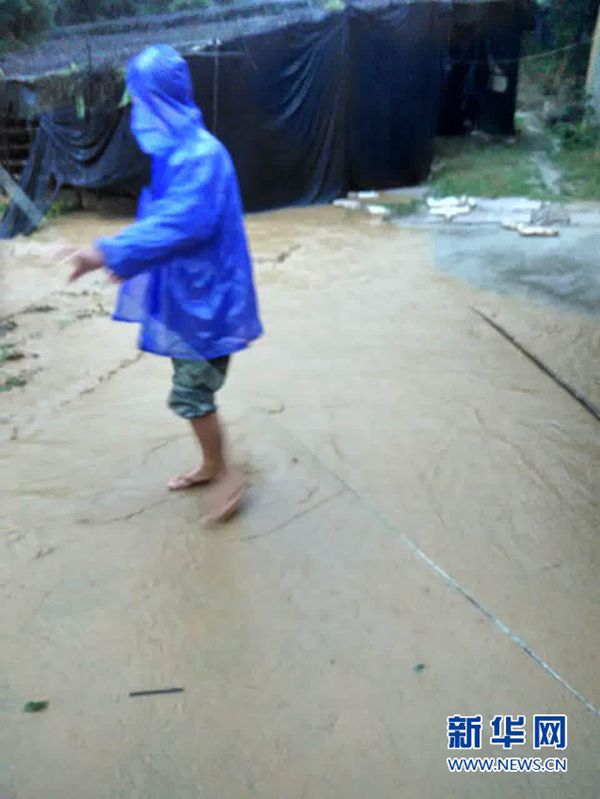 �W(w��ng)�ѡ�ˢ�����¾��_(t��i)�L(f��ng)�����y�ĺ�֧��(sh��)�ܱ�ҫ