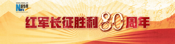 �c���鿴���}