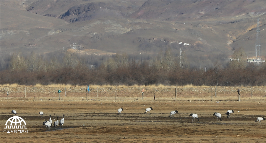 [��������] ���ܿh����Ȼ�γɵĵط� ���i�Q������(�M�D)