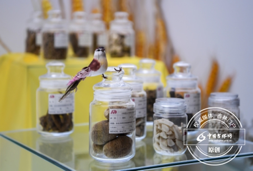 �tˎ�a�I���L�w�P