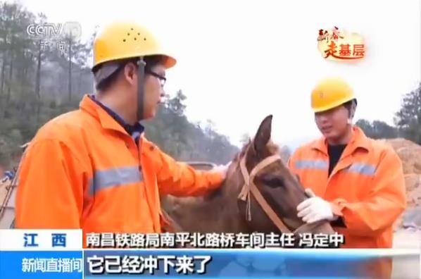 ǰ�����ע�Ⱑ��������@����������@������Ҫײ������