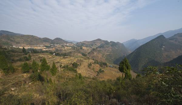 ����ȫ����ϰ�������ɽ36�꣬ʹʧ��λ�H�ˣ�����һ�l������֮��������