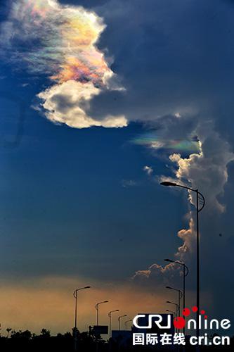 19�հ����������Ĳ��l����Ͽ�ͻ�@���ƣ����������v���Ĕz���Ĳ������ϡ� �zӰ ��x