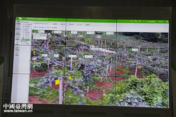 ���ƵZ�^�M�����ꡤ�۽��󔵓����F�����ģ��ǻ۴󔵓������a�I���ʻ�