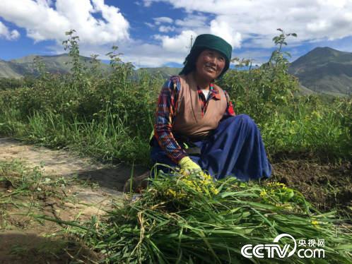 ��ɣ׿��Ę���������Ҹ���Ц��